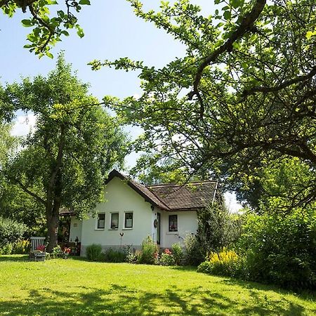 וואלדסאסן Ferienhaus Am Alten Bahndamm מראה חיצוני תמונה